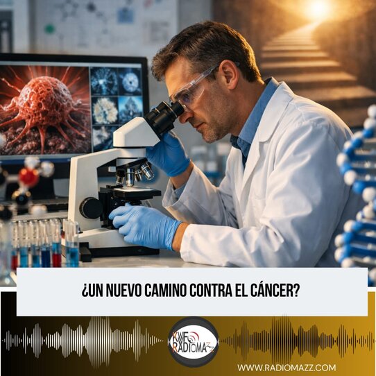 La comunidad científica internacional ha puesto su atención en un estudio que representa un avance relevante en la investigación contra el cáncer de páncreas.